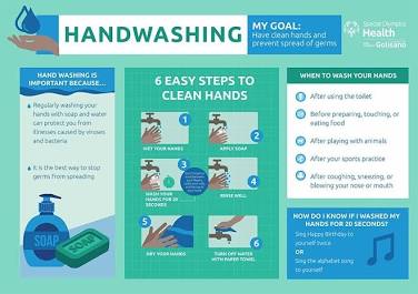 Official step-by-step hand hygiene procedure diagram, AI generated