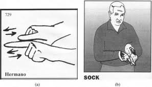 The mexican terms in spanish are known as: Sign Language Contact And Interference Asl And Lsm Language In Society Cambridge Core
