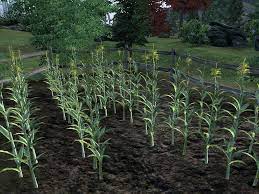 The three ingredients that may be planted in the garden which produce the single most valuable potion are overall, using either the greenhouse and the garden, or just the garden, creep cluster, mora tapinella. Crops Elder Scrolls Fandom