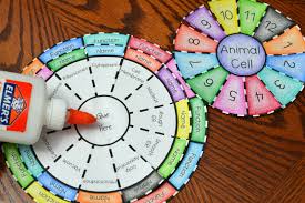 Plant cell labeled with the following: Animal Cell Foldable