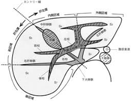 千臨技会誌 2012 No 2 通巻115 千葉臨床検査技師会