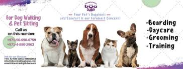 Few things can strike anxiety into the using a trusted pet groomer can prevent the cutting of your dog or cat's nail bed and keep them feeling their best. K9 Domestic Pets Grooming Pet Grooming Centres In Dubai Investment Park 2 Dubai