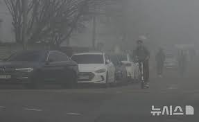 뉴시스