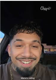 Difference Between Elite and Premium Chispa