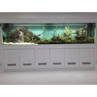 Dengan adanya tanaman aquascape di dalam akuarium, maka keberadaannya bisa memperkaya keindahan akuarium. Sell Aquarium Arwana From Toko City Aquaworld Surabaya