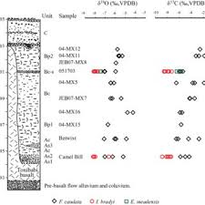 Jodi benson ariel song (ost the little mermaid, disney). Pdf Late Pleistocene Ois 3 Paleoenvironmental Reconstruction For The Terapa Vertebrate Site Northcentral Sonora Mexico Based On Stable Isotopes And Autecology Of Ostracodes