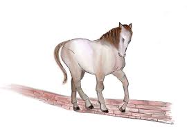 We did not find results for: Mustang Horses Art With Fun