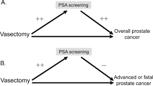 Only men get prostate cancer, because only men have a prostate gland. Can There Be Consensus On Whether Vasectomy Is A Prostate Cancer Risk Factor Prostate Cancer And Prostatic Diseases