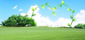 Blue And White Rattan Love Green Grass Trees Nature Posters Banner Nature Posters Beautiful Nature Pictures Panorama Photography