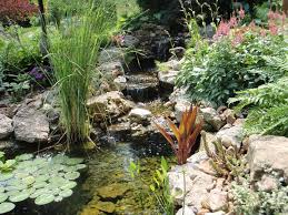 The dam is a very important part of pond construction process. Pond Contractor Builder Maintenance Services Cincinnati Harrison Ohio Oh Pond Contractor Services