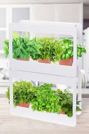 A wooden window box is a perfect idea to grow herbs like mint, cilantro, sage, thyme, and spearmint. 17 Indoor Herb Garden Ideas 2021 Kitchen Herb Planters We Love