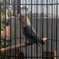 Maybe you would like to learn more about one of these? Smp Negeri 39 Bandung Jln Holis No 439 Local Business Bandung