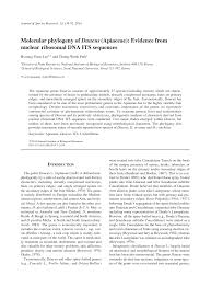 Image result for Agrocharis pedunculata