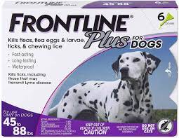 Learn about tick bite symptoms, treatment, prevention, and removal of ticks. The 7 Best Flea And Tick Prevention Products For Dogs In 2021