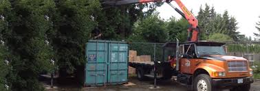 360 Crane Truck Rentals | 360 Crane Services & Maintenance Ltd