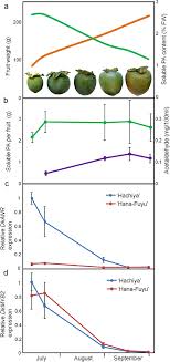 The largest of our hard when ripe selections. Mbw Complexes Impinge On Anthocyanidin Reductase Gene Regulation For Proanthocyanidin Biosynthesis In Persimmon Fruit Scientific Reports