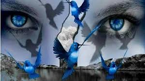 yasmir nefertitis adli kullanicinin mi mundo color violeta azul turquesa panosundaki pin