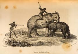 5 Chasse au Rhinocéros (Hunt of a rhino). Engraved by Nicolas Eustache... | Download Scientific Diagram