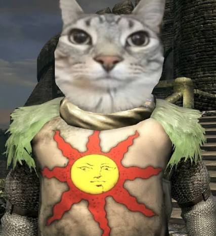 Dark Souls (@dark_memes_souls_) • Instagram photos and videos