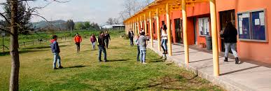 Universidad catolica del maule educacion talca. Facultad De Ciencias Agrarias Y Forestales Universidad Catolica Del Maule