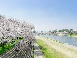 岡崎の桜まつり | 【公式】愛知県の観光サイトAichi Now