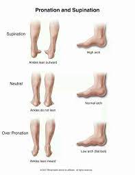 Pronation And Supination Pronation Hip Flexor Foot Health