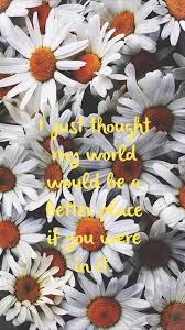 Ned Pushing Daisies Quote Iphone 5s Wallpaper Tumblr Iphone Tumblr Backgrounds
