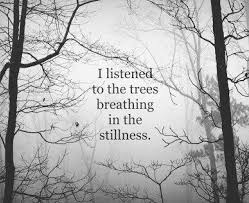 Black And White Nature Photography Quotes Pin By Monica Estes On Quotes Nature Quotes Nature Photography Quotes Quotes About Photography