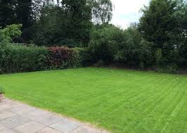 Ein schöner rasen will gepflegt sein! Wir Bekommen Einen Garten Endlich Terrasse Mutterboden Und Rasen