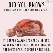 Healthy Tips Stay Fit Flexibility Workout Types Of Yoga Healthy Tips