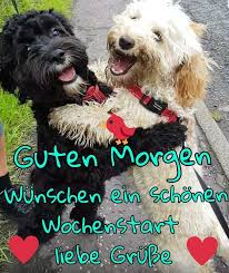 Pin Auf Alles Pin