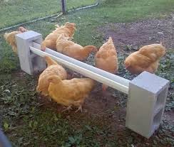 Diy chicken feeder and waterer from 5 gallon bucket this is one of the easiest diy chicken feeders and also waterer project that you can take on. 51 Diy Chicken Feeder Ideas Chickens Backyard Raising Chickens Chicken Coop