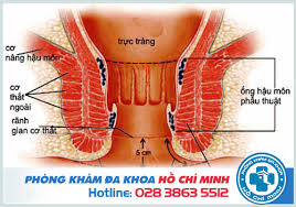 Đối với nam giới, trực tràng sẽ nằm ở sau bàng quang, túi tinh, ống dẫn tinh, tuyến tiền. Kham Háº­u Mon Trá»±c Trang á»Ÿ Ä'au Tá»'t Nháº¥t Tphcm NÄƒm 2019