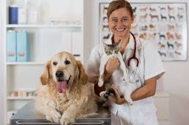 All veterinary orders/prescriptions for medications are reviewed for appropriateness of therapy and entered into a pharmacy database. Veterinary Compounding Newhard Pharmacy