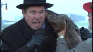 Watch Groundhog Bite Mayor's Ear