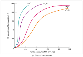 Phone Sensors Measure Oxygen Saturation With Out Pulse Oximeter Dissociation Respiratory System Digital Health