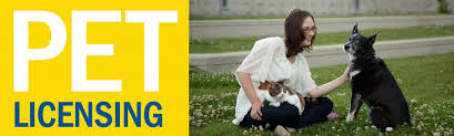 When you are hanging out with your pup and kitty, make sure to look out for these signs that show they can understand one another and maybe even. Pet Licensing Saskatoon Ca