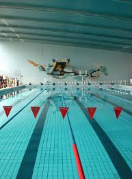 Cours Et Stage De Natation A Marseille Natation Pour Enfant Citizenkid