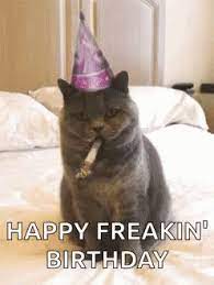 Birthday Cat Gif Birthday Cat Happybirthday Discover Share Gifs Happy Birthday Cat Happy Birthday Gif Images Happy Birthday Dad