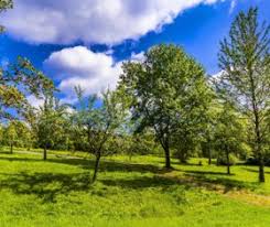 Color, or the act of changing the color of an object. Scenery Vector Page 9 For Free Download