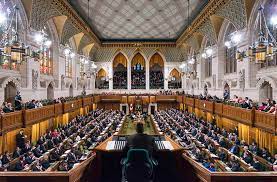 Le Travail D Adjoint Parlementaire Le Bras Droit Du Depute