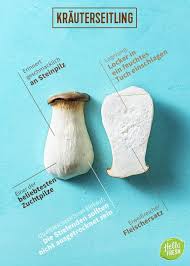 Essbare Pilze Die Highlights Fur Deine Kuche Im Herbst Hellofresh Blog Essbare Pilze Pilze Rezepte Mit Pilzen