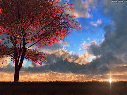 Green trees and mountains wallpaper, river, snow, forest, dual monitors. Visual Paradox Free 3d Wallpaper Wedding Tree Multiple Wallpaper Sizes