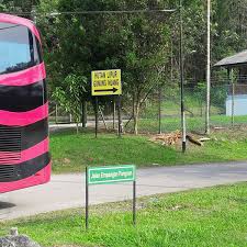 Puncak gunung nuang terletak di atas sempadan negeri selangor dan pahang. Gunung Nuang 9 Tips From 525 Visitors