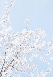 Pinterest Alexafinn10 Baby Blue Aesthetic Light Blue Aesthetic Blue Aesthetic Pastel