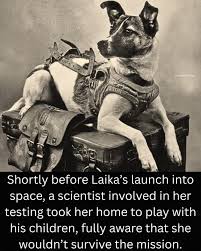 Laika's tragic space mission and legacy