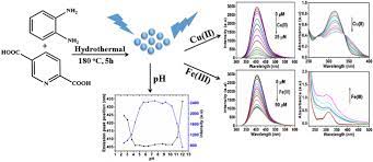 N Doped Carbon Dots With Ph Sensitive Emission And Their Application To Simultaneous Fluorometric Determination Of Iron Iii And Copper Ii Springerlink