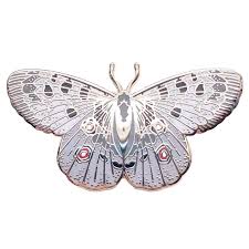 Image result for Parnassius apollo