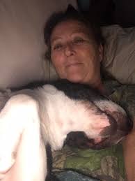 My 7 year old bull dog Gunner weight 58 lbs