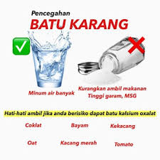 Penyakit batu empedu atau kolelitiasis merupakan gangguan kesehatan dimana terdapat batu dalam kandung atau saluran empedu. Bayam Kacang Coklat Yang Berlebihan Punca Batu Karang